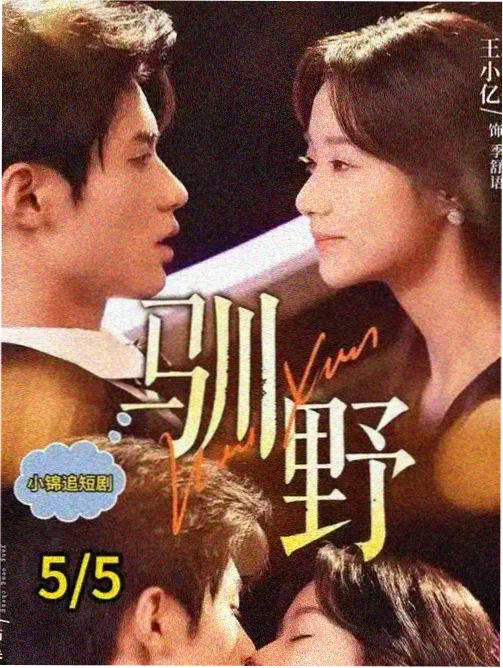 欧美一级电影剧集荒原车站偏远地区叙事活页封面